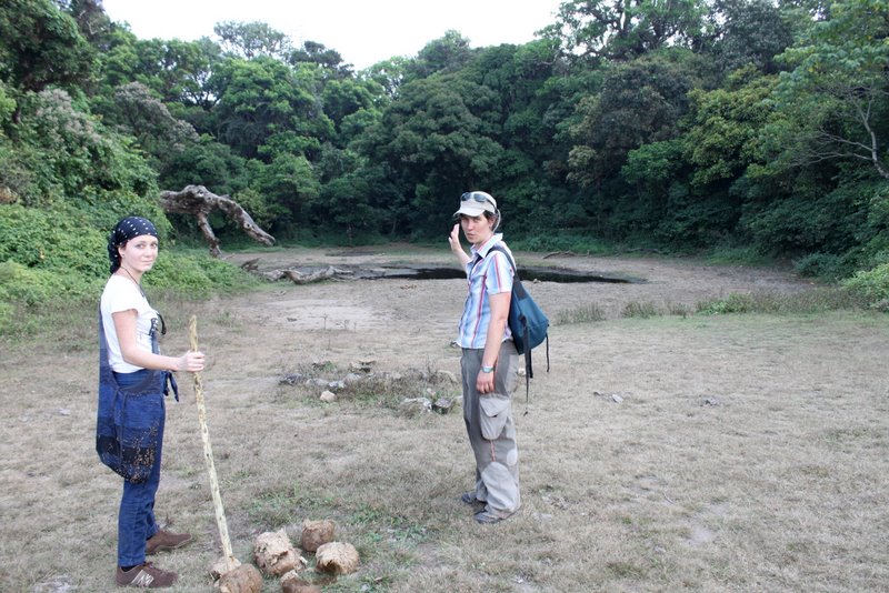 The watering hole at the edge of the forest.